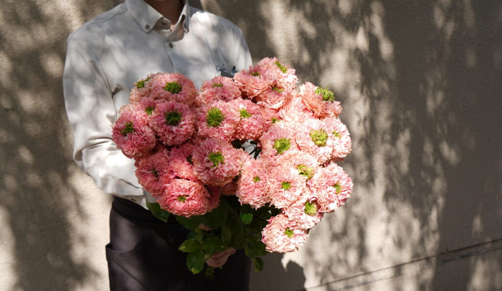 dry&arrange
